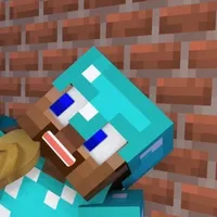 anh pro