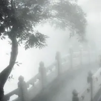 Tất cả 