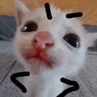tác giả