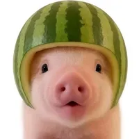 dunw