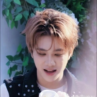 đức duy
