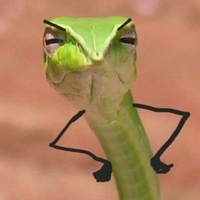 Mãng xà