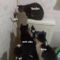 Cọng lông của Sa