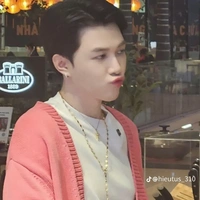 Bùi Anh Tú