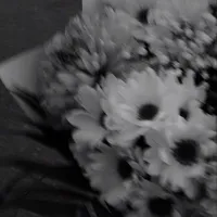 hội nhiều tín hiệu var