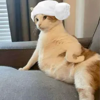 báo trông ba