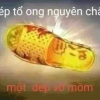 hệ thống mất nết