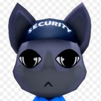 Security/bảo vệ