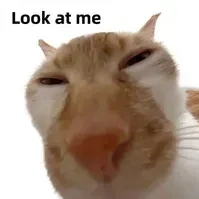 bống bơ