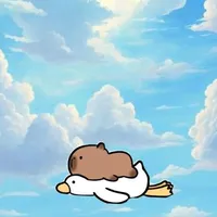 Capy Nam