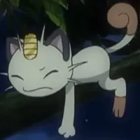 nyasu