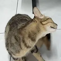 all trừ ai thì trừ
