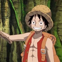 Monkey D Luffy