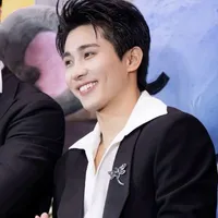 lê hồng sơn