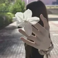 ánh kim