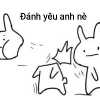All các anh