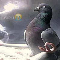 t/g hoang tưởng 💔😍