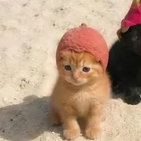 giáo viên chủ nhiệm Thảo