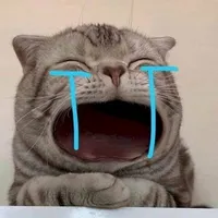 Tác giả nèe