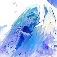 ✧•|𝑃𝑎𝑟𝑟𝑜𝑡𝑋2|•✧