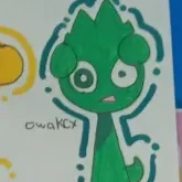 owakcy