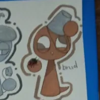 brud