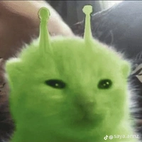 t/g