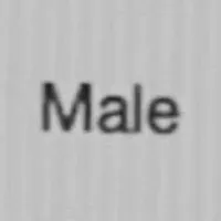 male — B