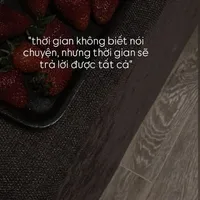 t/g nò mấy vk