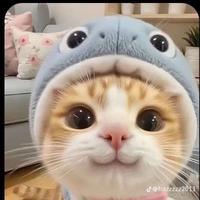 cty phá sản đi