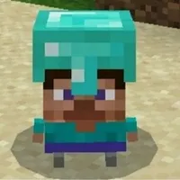 anh pro