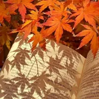 nv cha