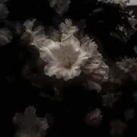 Cân mọi vai trong truyện / NPC