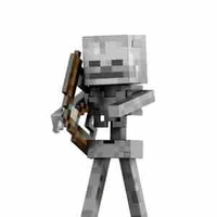 Skeleton 