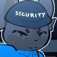 security 