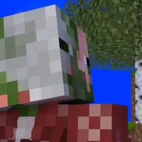 Pigman