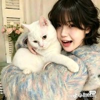 trương di hòa
