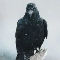 Corvus[@t méc Baby của t]