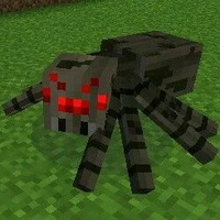 spider (Nhện)