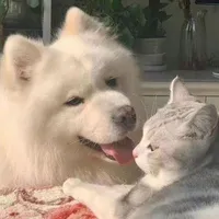 LOVELY!