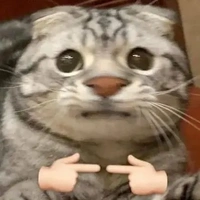 tác giả