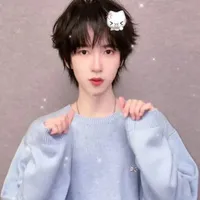 Hạ Tuấn Lâm (em)