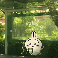 Nhân vật phụ