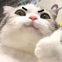 Tunaa