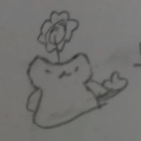 Bơ