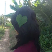 BN