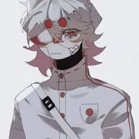 Nekomi Japan