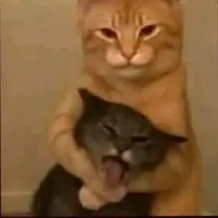 tg