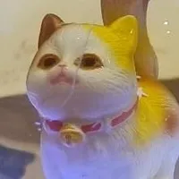 mèo nhà hàng xóm