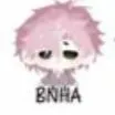 hiha BNHA